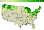National Probability of Precipitation  Forecast Image