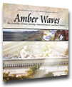 September 2004  issue of AmberWaves