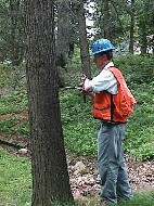 Tree coring