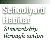 Schoolyard Habitat
