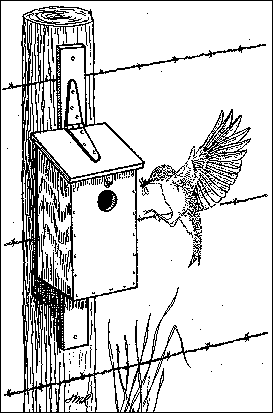 GIF - Birdhouse on Fencepost