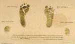 Graphic showing an infant footprint card