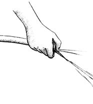 Imagen de una manguera del jardn: Una persona se cubre la abertura de la manguera parcialmente para aumentar la presin y causar el agua salpicar.