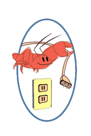 Lobster and Plug Image