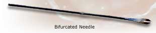 Bifurcated needle