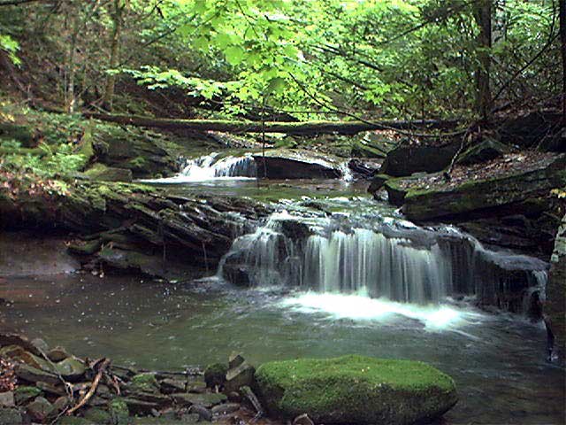 Water flowing over rocks in a stream surrounded by green trees.