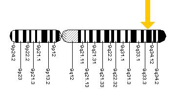 The ALAD gene is located on the long (q) arm of chromosome 9 at position 34.