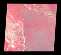 Color satellite photograph showing heavy tree coverage.