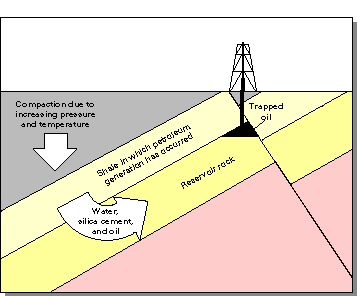 Schematic diagram showing compaction of mud into shale and resulting expulsion of water and silica cement