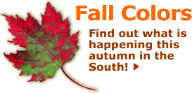 Find out what is happening  this autumn in the South!
