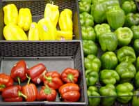 Photograph of yellow, red and green peppers.