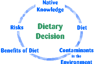 Dietary Decisions