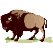 Icon shows a buffalo on a grassland.