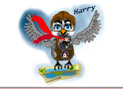 Graphic of Harry the Pigeon