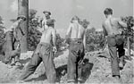 Photo: Civilian Conservation Corps (CCC) Workers, Beltsville Agricultural Research Center