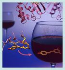 Compounds found in red wine