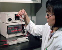 Photo of biomass researcher using an electroporator as part of metabolic engineering research.
