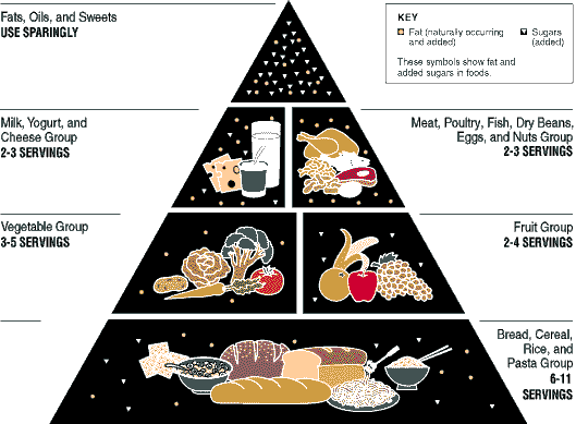 Food Pyramid: Bread, cereal, rice and pasta group 6-11 servings. Fruit group 2-4 servings. Vegetable group 3-5 servings. 
Meat, poultry, fish, dry beans, eggs and nuts group 2-3 servings. Milk, yogurt and cheese group 2-3 servings.
Oils, fats and sweets use sparingly.