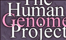 Graphic: The Human Genome Project