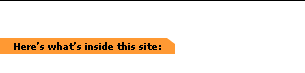 What's inside this site