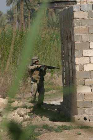 A Marine with Weapons Company, 2nd Battalion, 1st Marine Regiment points his M-16A4 at a window as he passes by a building while searching the area for enemy forces who fired on Marines while on patrol  in the Al Albar Province near Fallujah, Iraq.
(USMC photo by Lance Cpl Nathan Alan Heusdens)  Photo by: Lance Cpl. Nathan Alan Heusdens
