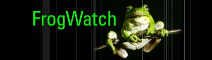 Frogwatch header: A frog, showing from the frontal view, sits on a branch.