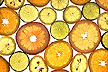 Citrus varieties