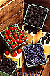 Strawberries, blueberries, blackberries