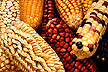 Maize from Latin America