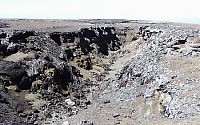 Grond crack along upper southwest rift zone, Kilauea Volcano