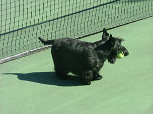 Picture of Barney 2004-9-20