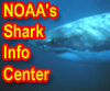 Click here for NOAA's Shark Information Center.