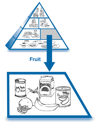 The Food Pyramid, with the fruit section enlarged to show drawings of fruit juice, an apple, a banana, canned fruit, and other fruit.