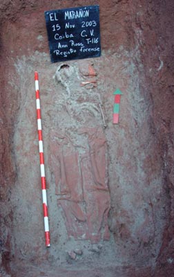 Figure 1 is a photograph of burial T-116.