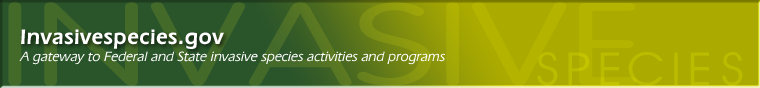 Invasivespies Site Logo