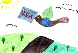 Drawing of a bird with an envelope labeled "USA" that flies above a road/river that runs between land with trees.
