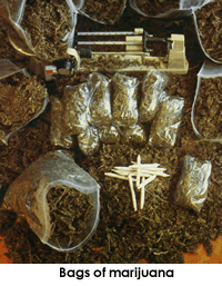 photo-bags of marijuana