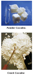 Powder Cocaine and Crack Cocaine