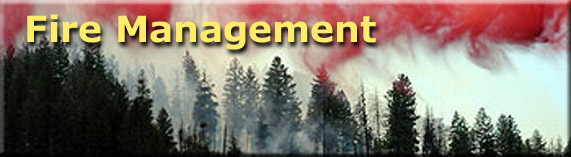 Fire management header, photo of red fire retardant falling on forest fire
