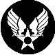 Army Air Corps symbol