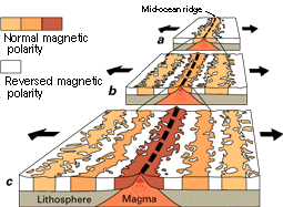 diagram of magnetic polarity stripes