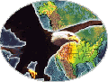 National Atlas Eagle
