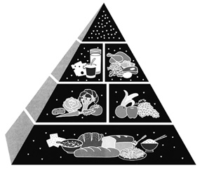 Illustration of the food guide pyramid