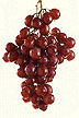 Flame seedless grapes