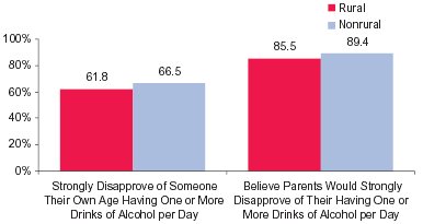 Figure 3.  Percentages of Youths in Rural** and Nonrural*** Areas Who Disapprove of Daily Drinking or Believe Their Parents Disapprove of Daily Drinking: 2002
