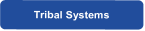Tribal Systems