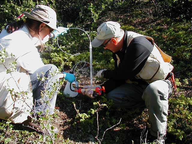 USGS Scientists Bronwen Wang and Larry Gough examine soil moisture lysimeters