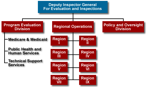 OEI Organization Chart
