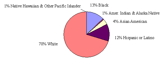 chart depicting Racial and Ethnic Breakdown of Women in the United States