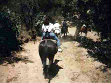 Interns travel by horseback to the wilderness areas in the Santa Monica Mountains.